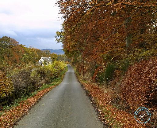 Autumn 9P067D-01.JPG